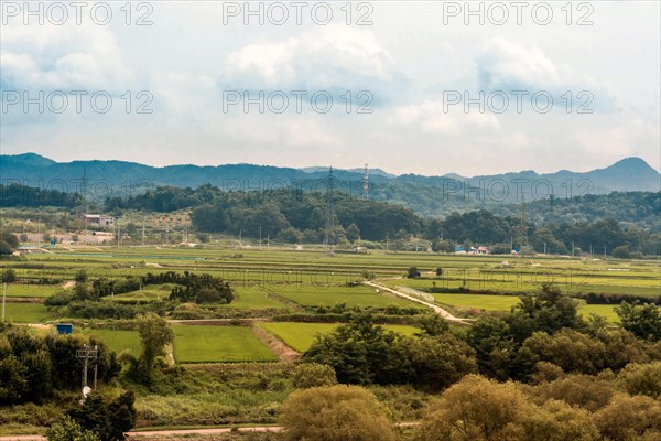 Small family graveyard surrounded by trees in mist of rice paddies under cloudy overcast sky in South Korea
