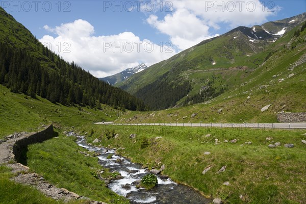 A mountain stream flows beside a road through an idyllic landscape, Capra River, mountain road, Transfogarasan High Road, Transfagarasan, TransfagaraÈ™an, FagaraÈ™ Mountains, Fagaras, Transylvania, Transylvania, Transylvania, Ardeal, Transilvania, Carpathians, Romania, Europe