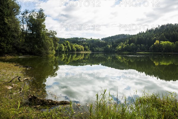 Albstausee, St. Blasien, Black Forest, Baden-Wuerttemberg, Germany, Europe