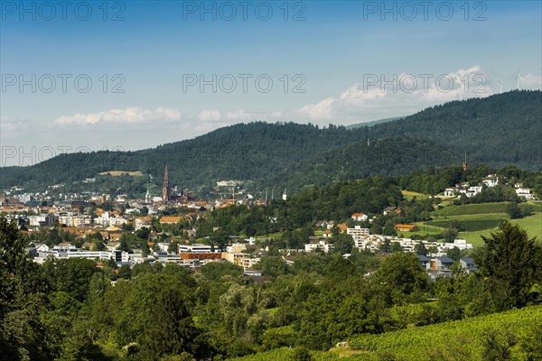 City view, in the foreground the Vauban neighbourhood, Freiburg im Breisgau, Black Forest, Baden-Wuerttemberg, Germany, Europe