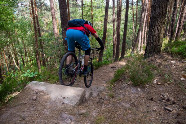 Mountain biker riding steps on a single trail near Weinbiet in the Palatinate Forest, Germany, Europe