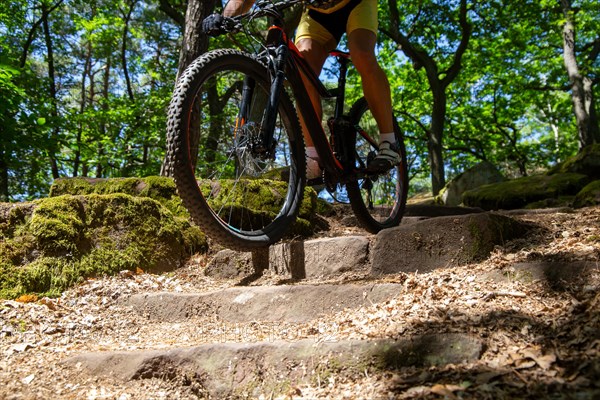 Mountain biker riding a difficult single trail with several steps