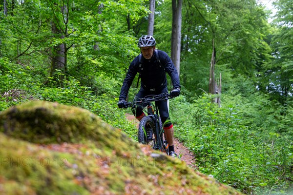 Mountain biker on tour in the central Palatinate Forest near Lambertskreuz