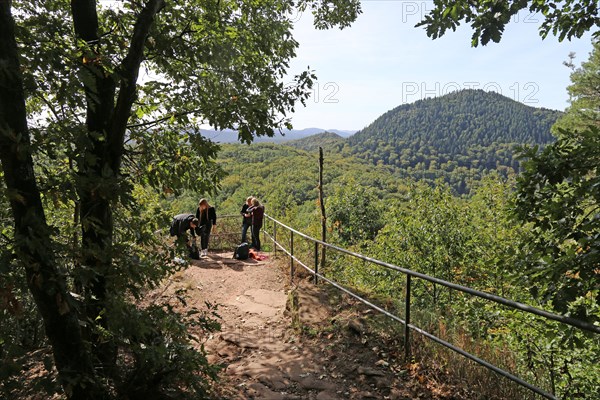 Group of hikers on the Annweiler Castle Trail in the Palatinate Forest