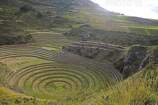 Terraces in the Inca complex Moray in Valle Sagrado, Maras, Cusco region, Peru, South America