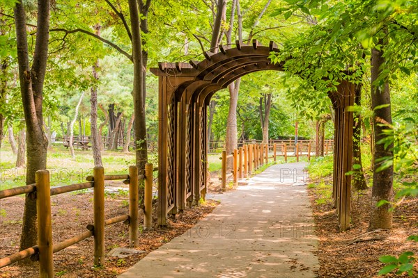 Wooden archway over sidewalk in urban public park in South Korea