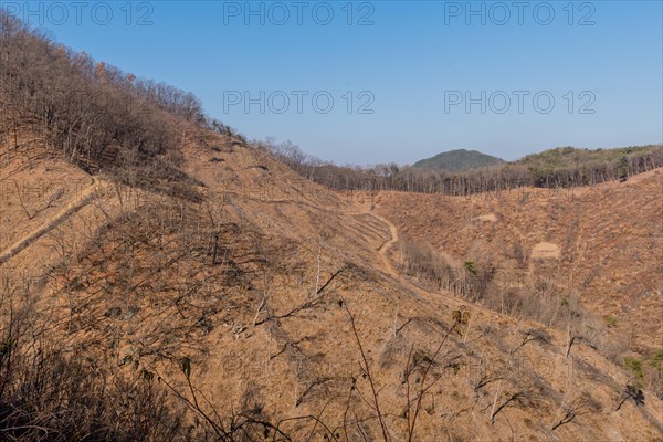 Road used by logging trucks on mountainside suffering from intense logging and deforestation in South Korea