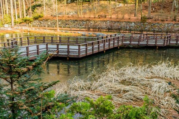Wooden elevated walkway with handrail over pond in public park in South Korea