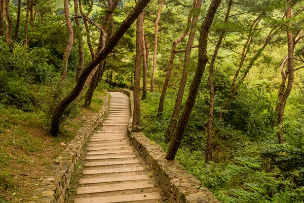 Wooden steps between boulder walls descending down side mountain in recreational forest in South Korea
