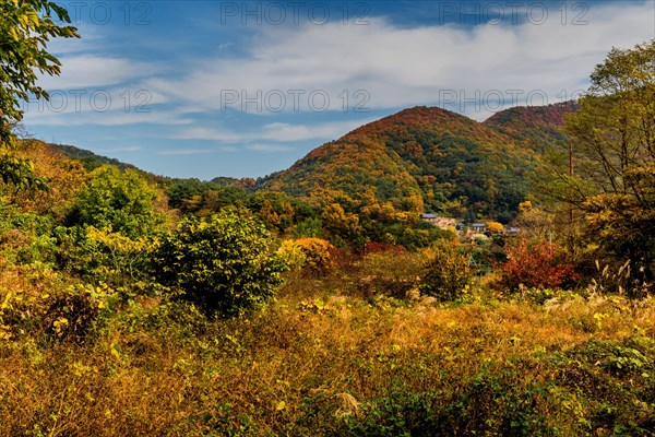 Landscape of mountain valley with trees in autumn colors with Buddhist temple in distance in South Korea