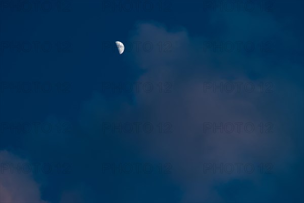 The waxing crescent moon stands bright in a deep blue evening sky with cumulus clouds illuminated slightly pink by the sun, Lower Saxony, Germany, Europe