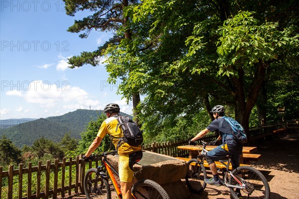 Mountain bikers take a break at the summit of the Hohe Loog near Neustadt in the Palatinate Forest