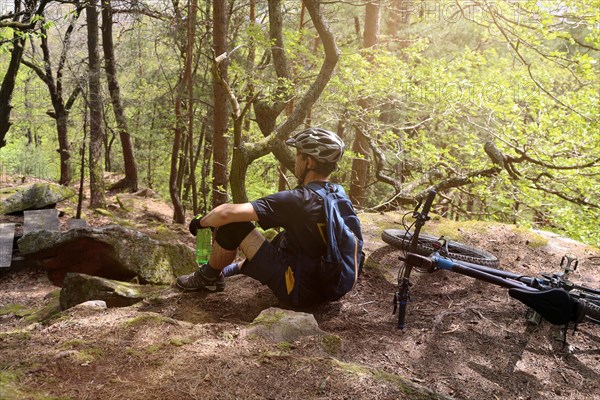 Mountain biker in the Palatinate Forest near the Hohe Loog above Neustadt an der Weinstrasse