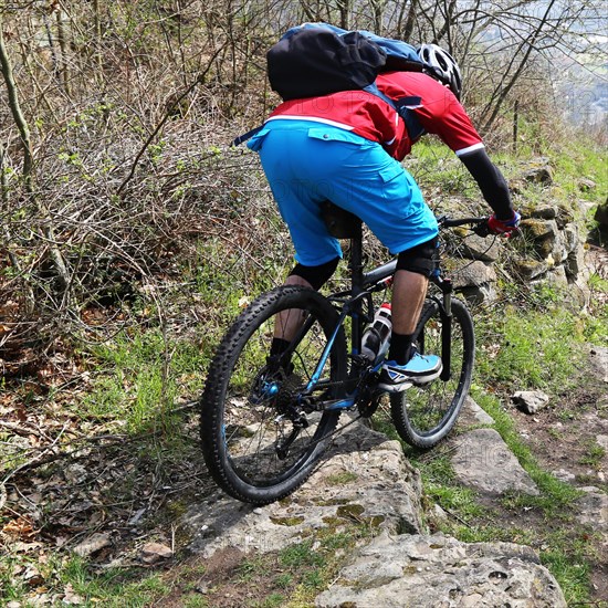 Mountain biker in difficult terrain in the Palatinate Forest near Wolfsburg