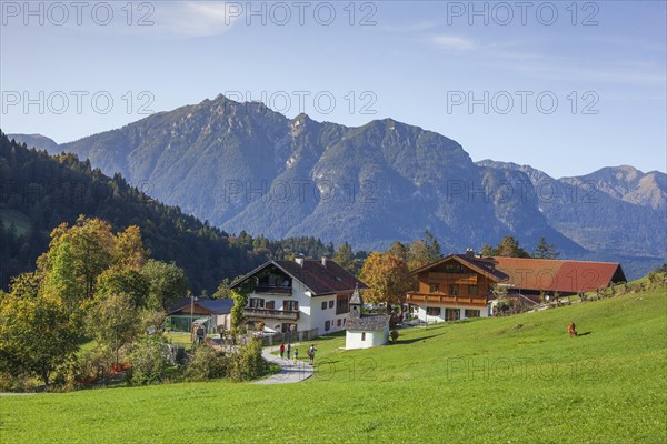 Graseck Alm, Garmisch-Partenkirchen, Werdenfelser Land, Upper Bavaria, Bavaria, Germany, Europe