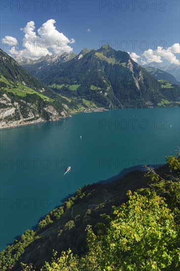 View from Seelisberg over Lake Lucerne to Bristenstock, Canton Uri, Switzerland, Seelisberg, Lake Lucerne, Uri, Switzerland, Europe