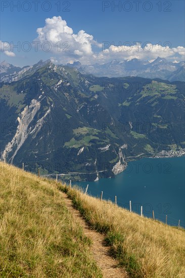 View from Niederbauen Kulm (1923m) to Bristenstock, Lake Lucerne, Canton Uri, Switzerland, Lake Lucerne, Uri, Switzerland, Europe