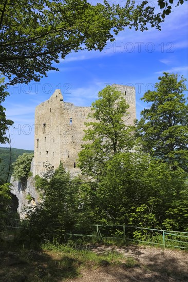 Ruin Reussenstein, ruin of a rock castle above Neidlingen, rock above the Neidlingen valley, ministerial castle of the Teck dominion, Neidlingen, Swabian Alb, Baden-Wuerttemberg, Germany, Europe