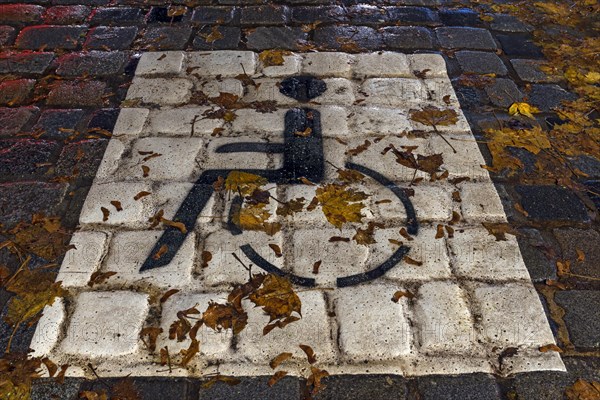 Marked disabled car park at night, Bavaria, Germany, Europe