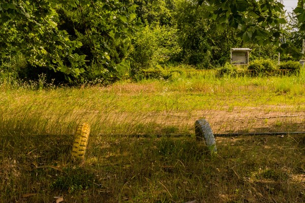 Two painted tires planted in ground under shade trees in field of tall grass in South Korea