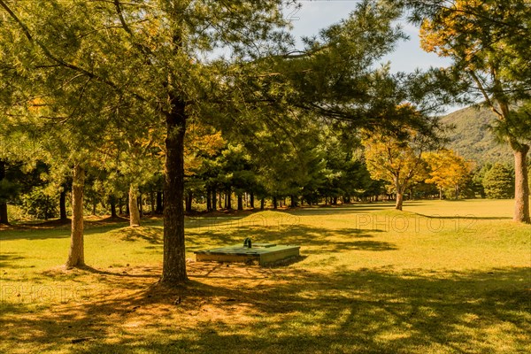 Green, rectangle underground maintenance access point shaded by evergreen trees in public park on sunny afternoon in South Korea