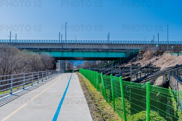 Crop of ginseng behind green fence next to concrete walking and bicycling path with bridge in background