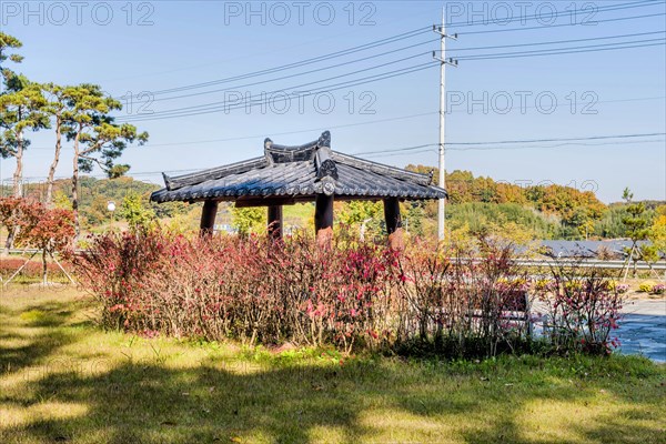 Pavilion in roadside park behind hedge with red autumn leaves in South Korea