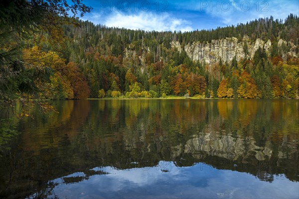 Lake and autumnal coloured forest, Feldsee, Feldberg, Black Forest, Baden-Wuerttemberg, Germany, Europe