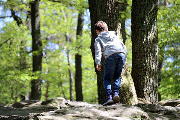 Boy climbing on the sea of rocks below the Kalmit in the Palatinate Forest