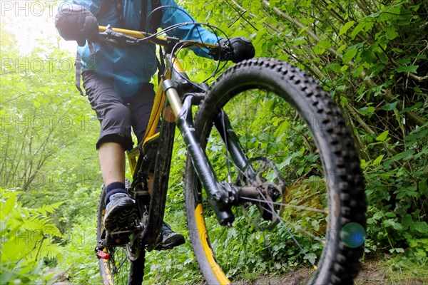 Mountain bikers on a difficult trail in the Palatinate Forest