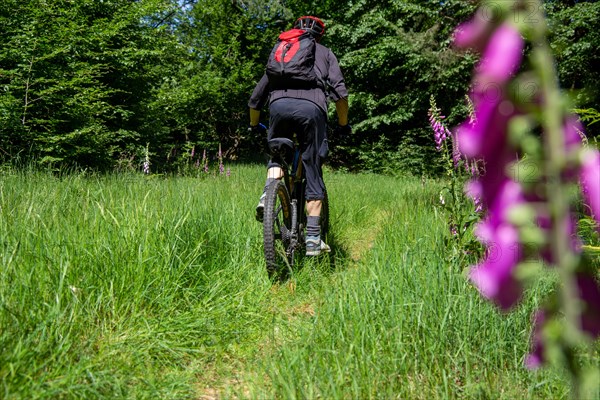 Mountain bikers on tour in the Pfaelzerwald mountain bike park near Dahn