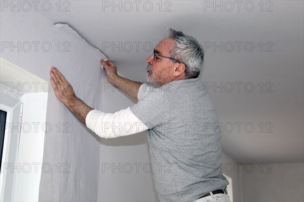 Craftsman (painter) for wallpapering work