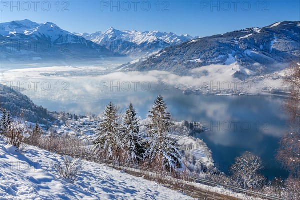 Winter panorama of Lake Zell in morning fog with the Kitzsteinhorn 3203m in the Hohe Tauern, Thumersbach, district of Zell an See, Salzachtal, Hohe Tauern, Salzburg province, Austria, Europe