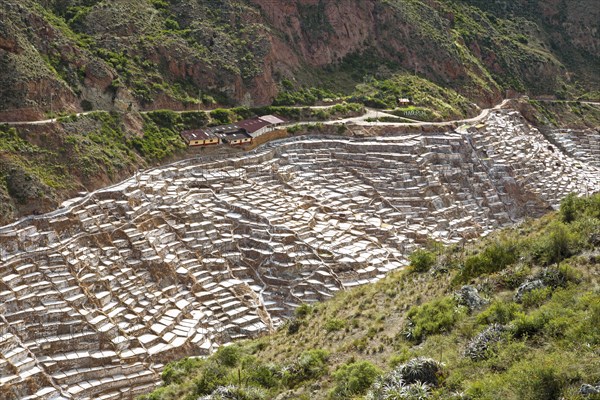 Salineras de Maras or salt mines of Maras, Cusco region, Peru, South America