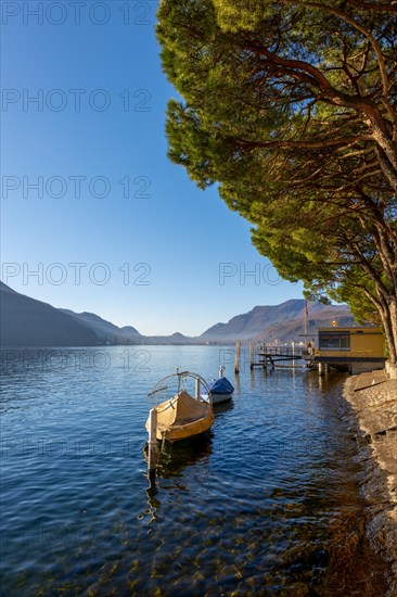 Beautiful Jetty and Old Fishing Boat with Trees on the Waterfront on Lake Lugano in a Sunny Day with Mountain in Morcote, Ticino, Switzerland, Europe