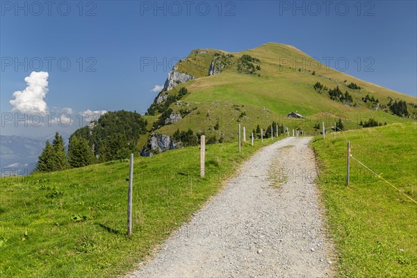 Hiking trail to Niederbauen Kulm (1923m), Lake Lucerne, Canton Uri, Switzerland, Lake Lucerne, Uri, Switzerland, Europe