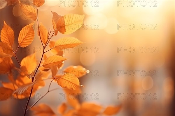 Orange autumn leaves with bokeh lights and copy space. KI generiert, generiert AI generated