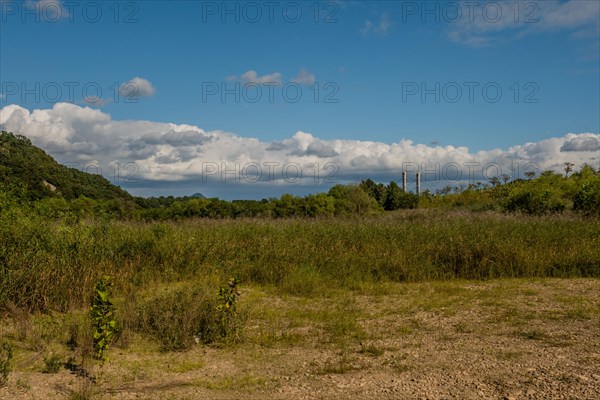 Rural landscape of lush foliage under blue sky with layer of cumulus clouds in background in South Korea