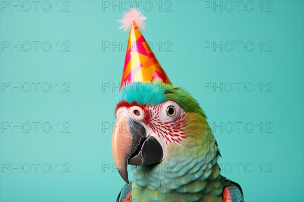 Parrot with birthday party hat on green background. KI generiert, generiert AI generated