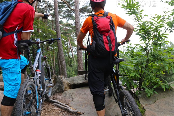 Mountain bikers enjoy the view in the Palatinate Forest above Neustadt an der Weinstrasse