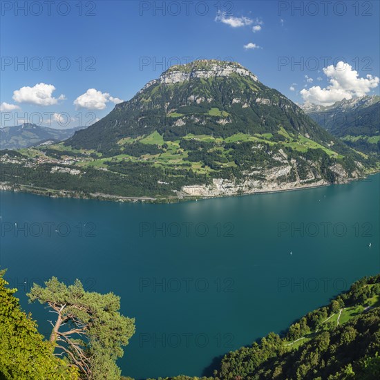 View from Seelisberg over Lake Lucerne to the Fronalpstack, Canton Uri, Switzerland, Seelisberg, Lake Lucerne, Uri, Switzerland, Europe