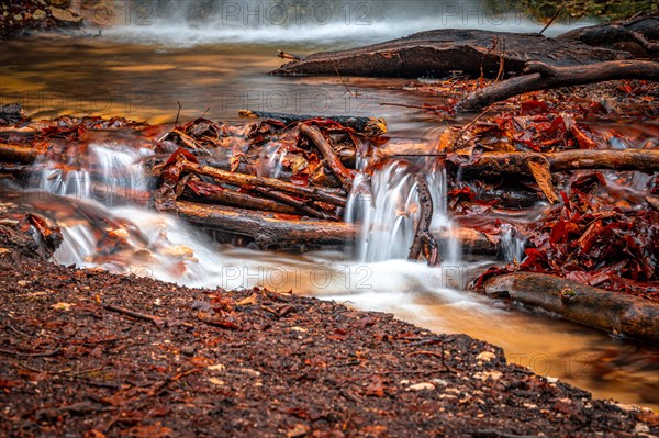 The waterfall in the Rautal forest at Burschenplatz in winter, Jena, Thuringia, Germany, Europe