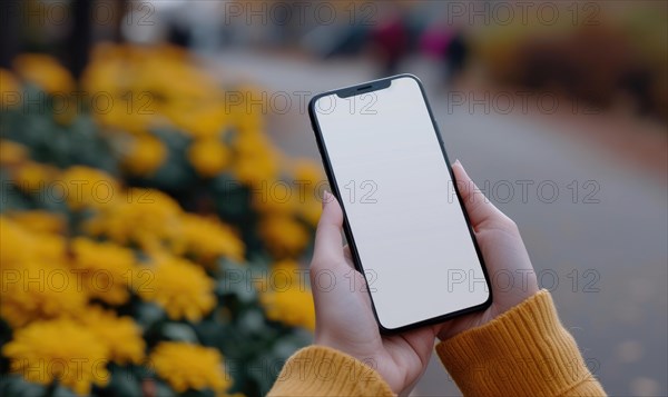 Female hands holding a smartphone with a white screen on the background of yellow flowers AI generated