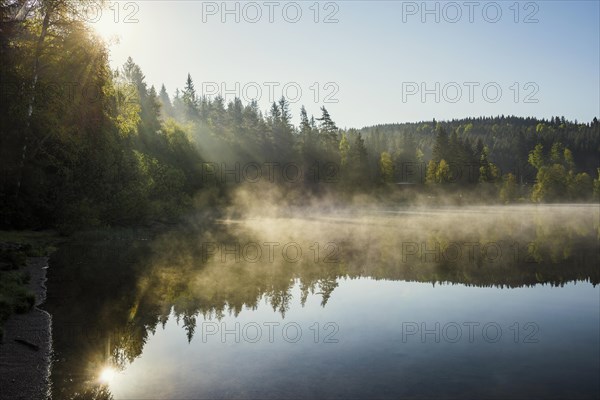 Lake and morning fog, sunrise, Windgfaellweiher, Altglashuetten, Black Forest, Baden-Wuerttemberg, Germany, Europe