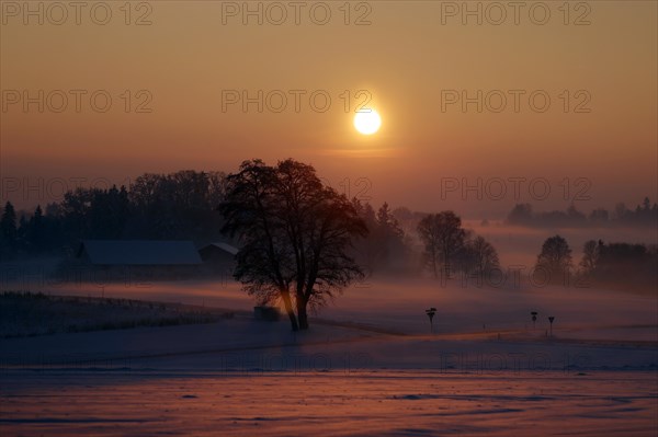 The setting sun bathes a snow-covered winter landscape with ground fog in reddish light, farm, foothills of the Alps, Upper Bavaria, Bavaria, Germany, Europe