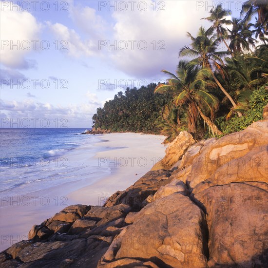 Seychelles, Fregate, blue water and palm trees on the white sandy beach of Anse Victorin, Africa