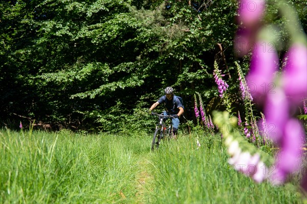 Mountain bikers on tour in the Pfaelzerwald mountain bike park near Dahn