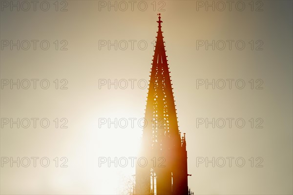 Tower of Freiburg Minster, sunset, Freiburg im Breisgau, Black Forest, Baden-Wuerttemberg, Germany, Europe