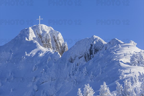 Winter landscape and snow-covered trees in front of a mountain peak, winter, view of Tegelberg, Ammergau Alps, Upper Bavaria, Bavaria, Germany, Europe