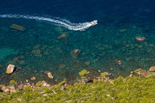 View from Cap Canaille to the green pines and the blue water of the bay, Provence, France, Europe